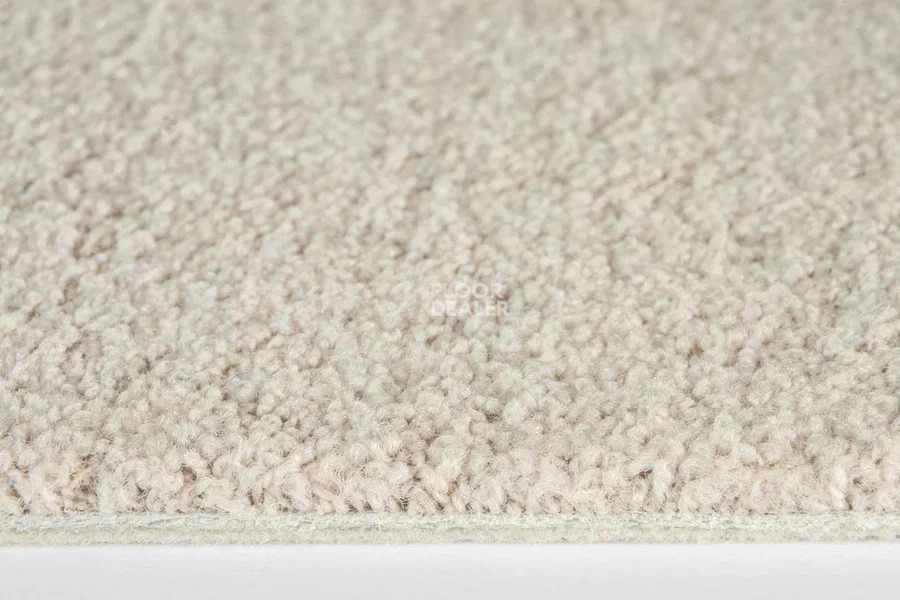 Vorwerk Superior 1065/Viola Vorwerk 8h49 фото 3 | FLOORDEALER